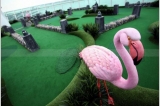 Mini Golf