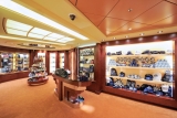 MSC Fantasia - Usługi inne