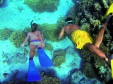 Snorkeling