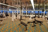 Holland America Line - Ryndam